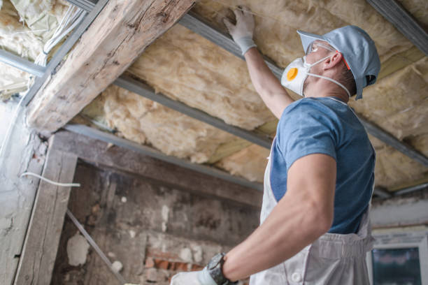 Best DIY Insulation Kits and Guidance in Sebring, OH