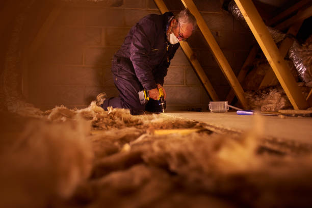 Best Geographic-Specific Insulation Services in Sebring, OH